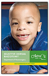 Click here to browse the SDR Brochure